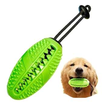 Amazon | CHIPP'S 犬の噛むおもちゃ ガブボールN 歯磨き 餌入れ