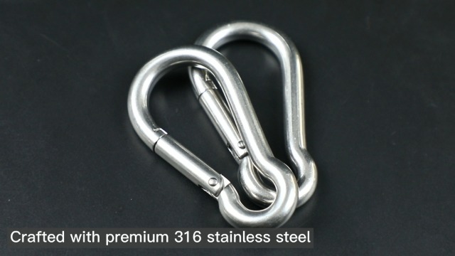 Amazon.com: Carabiner Clips, 316 Stainless Steel Carabiner Clip