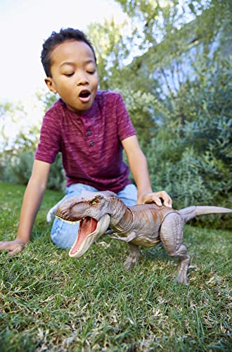 Niños, Toy Imagen adicional