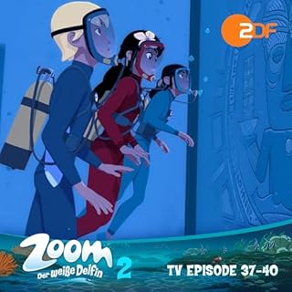 Zoom - Der wei&szlig;e Delfin. Das Original-H&ouml;rspiel zur TV-Serie cover art