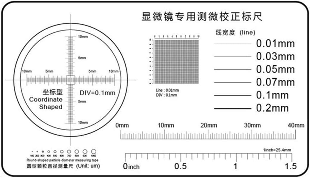 ZTBH Microscope Accessories Kit High Precision Film Point Gauge Soft Ruler Microscope Micrometer Calibration Slide Line Microscope Slides(2)