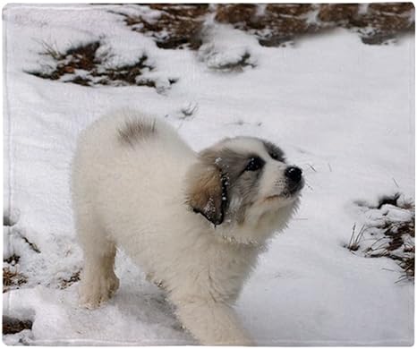 great pyrenees blanket