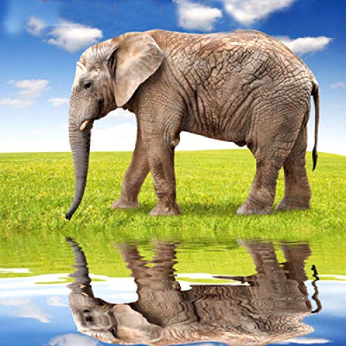 Kit mosaïque DIY éléphant 60x60 cm, cadeau artisanat idéal