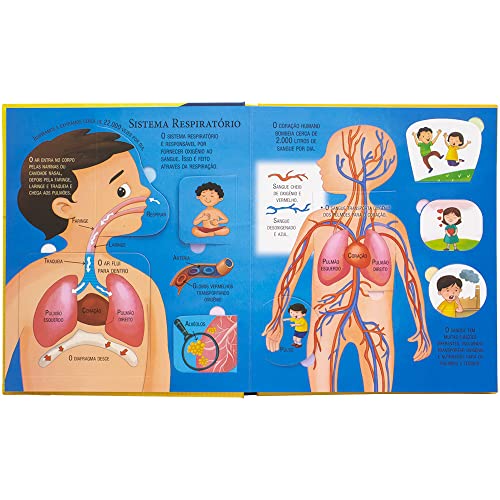 Kit Explorar e Aprender - Um Livro com Abas: Espaço e Corpo Humano