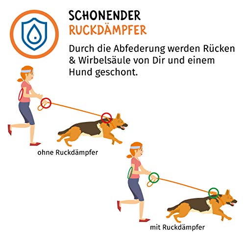 Floxik Ruckdämpfer Hund groß | stark | Elastische, robuste Leinenverlängerung für Jede Hundeleine - ideal zum Spazierengehen, Joggen und Radfahren