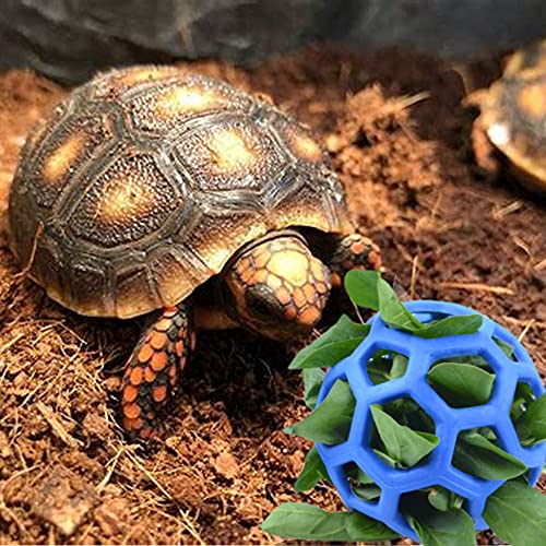 Image of Tortoise Treat Ball Fruit Vegetable Feeder Holder Foraging Toy for Pet Tortoise Turtle