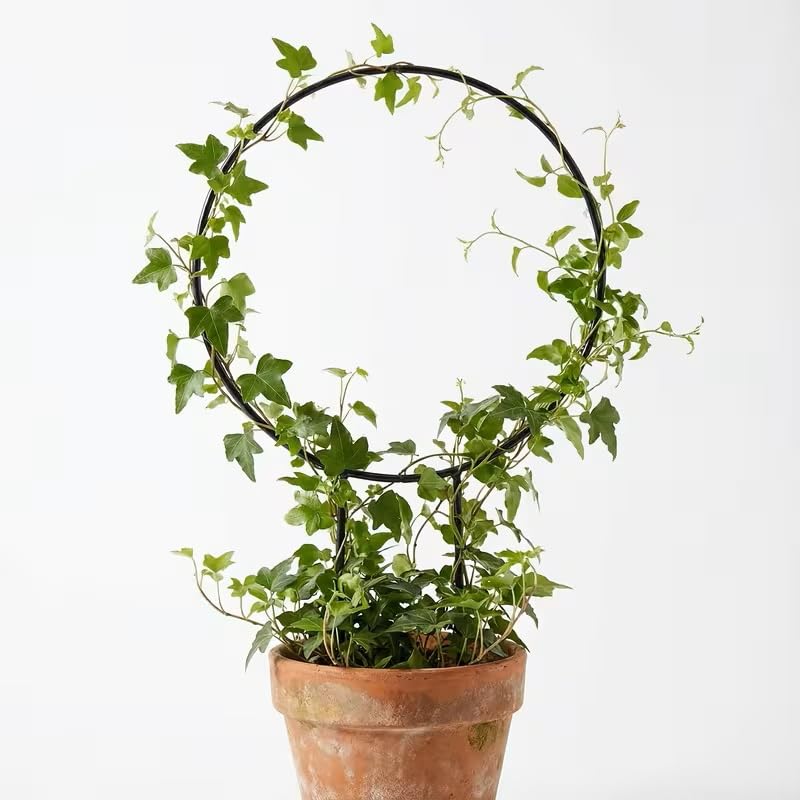 Black Metal Plant Trellis Heart and Circle Shapes for Climbing Plants 13 inch Iron Plant Vine Support Wire, Plant Climbing Frame- Suitable for Indoor Potted Plants (Circle, 1pc)-image-24