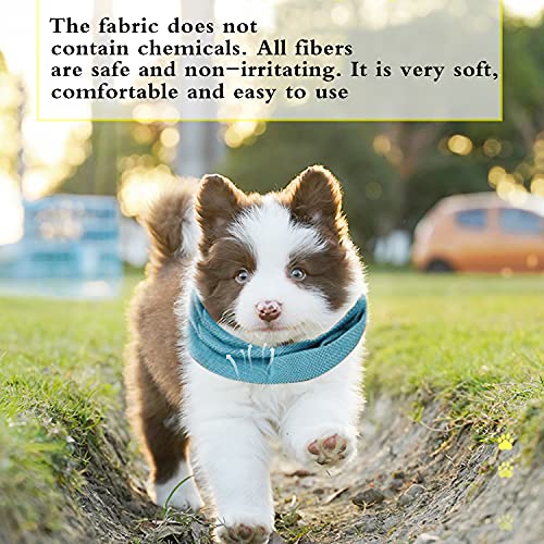 Sciarpa Raffreddamento Cani, Collare Rinfrescante