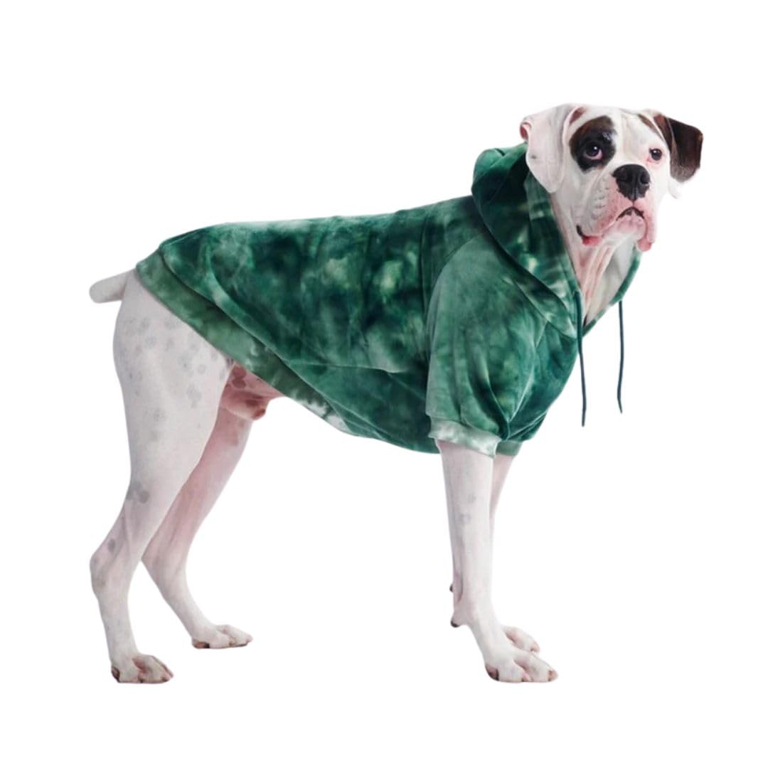 Spark Paws Dog Hoodie Jumper, Premium Quality, Buttery Soft, Superior Comfort and Fit, Calming Fleece Interior