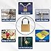 XFJSAK 2 Pcs Small Keyed Padlocks, Locker Lock, Locks with Keys 32mm, Gold, Compact, Hardened Alloy, Securing Luggage, Gym Lockers
