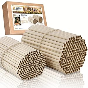 BEESI 300 x nesthulzen voor insectenhotel 15 cm lang diameter 6 en 8 mm gemengd incl. e-book nestbuizen en kartonnen buisjes voor wilde bijen