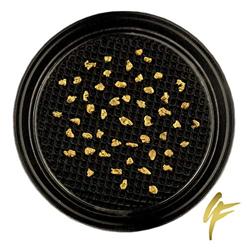 50 Stück echte Goldnuggets aus Alaska mit Echtheitszertifikat