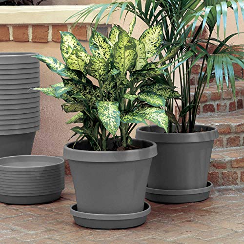Bloem Terra Plant Saucer Tray For Planters 9-12" Charcoal Gray #TOP4