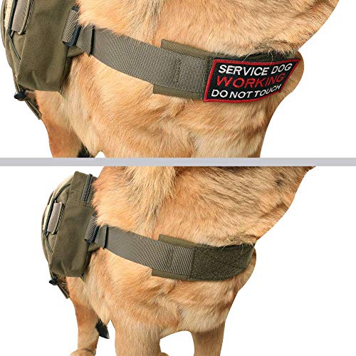 Excellent Elite Spanker Dog Pack Hound Dog Saddle Bag Backpack For Travel Camping Hiking Medium & Large Dog With 2 Capacious Side Pockets(Rgn) #TOP4