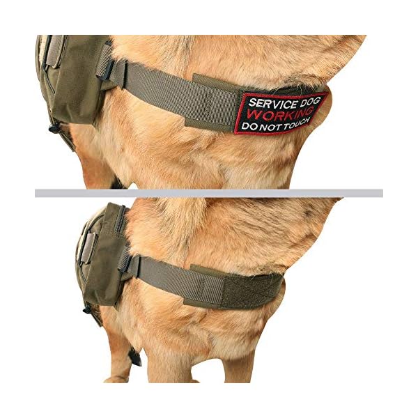 EXCELLENT-ELITE-SPANKER-Dog-Pack-Hound-Dog-Saddle-Bag-Backpack-for-Travel-Camping-Hiking-Medium-Large-Dog-with-2-Capacious-Side-PocketsRGN EXCELLENT ELITE SPANKER Dog Pack Saddle Bag Backpack for Travel, Camping, and Hiking