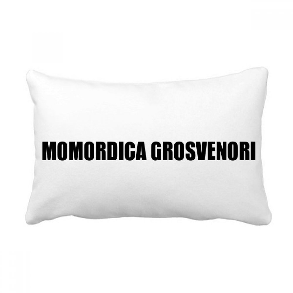 Oreiller lombaire Momordica Grosvenori coussin de canapé multicolore