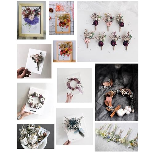 Flores secas prensadas variadas para manualidades miniatura 6