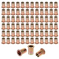 150 Stück Nietmuttern M5 Runde Flachkopf Gewinde Rivet Nutsert Cap Gewindenieten, Verzinkt Einschraubmutter Blindnietmuttern Hülsenmutter für Metallplatten Elektrogeräte