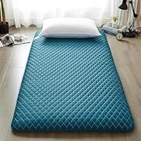 Futon Matras Vloermatrassen Japanse Tatami Mat Slaapmat Twin Full Queen King Size Bed, voor Volwassenen Opvouwbare Futon Tatami Mat Draagbare Zachte Ademende Traditionele Slaapmat (Color : D, Size
