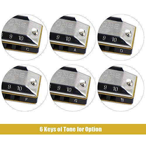 KKmoon Chave profissional de C 10 Buracos Harmônicas de Boca Harmonia de Cobre Borgonha com Caixa de
