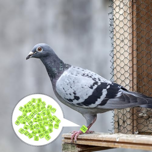 Milisten Anéis De Perna De Pombos De Pássaros De 4 Mm 50 Peças - Faixas De Perna De Identificação De