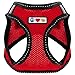 Pawtitas Dog Vest Harness Made with Breathable Air Mesh | All Weather Vest Harness for Small Puppies and Large Cats with Quick-Release Buckle - Small Red Mesh Dog Harness