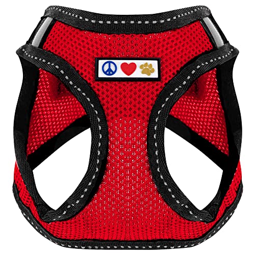 Pawtitas Dog Vest Harness Made with Breathable Air Mesh | All Weather Vest Harness for Extra Small Puppies and Large Cats with Quick-Release Buckle - Extra Small Red Mesh Dog Harness