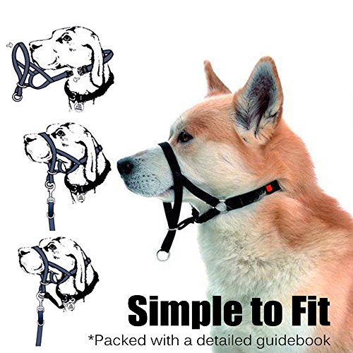 Dog Head Collar, No Pull Training Tool For Dogs On Walks, Includes Free Training Guide, 5 (L, Black) #TOP3