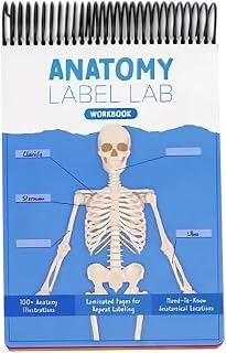 LeeJ Anatomy Label Lab Workbook, Interactive Anatomy Illustrations, Full-Color Dry-Erase Pages Physiology Study Tools, for Medical School Students, Doctors, Nurses (Blue)
