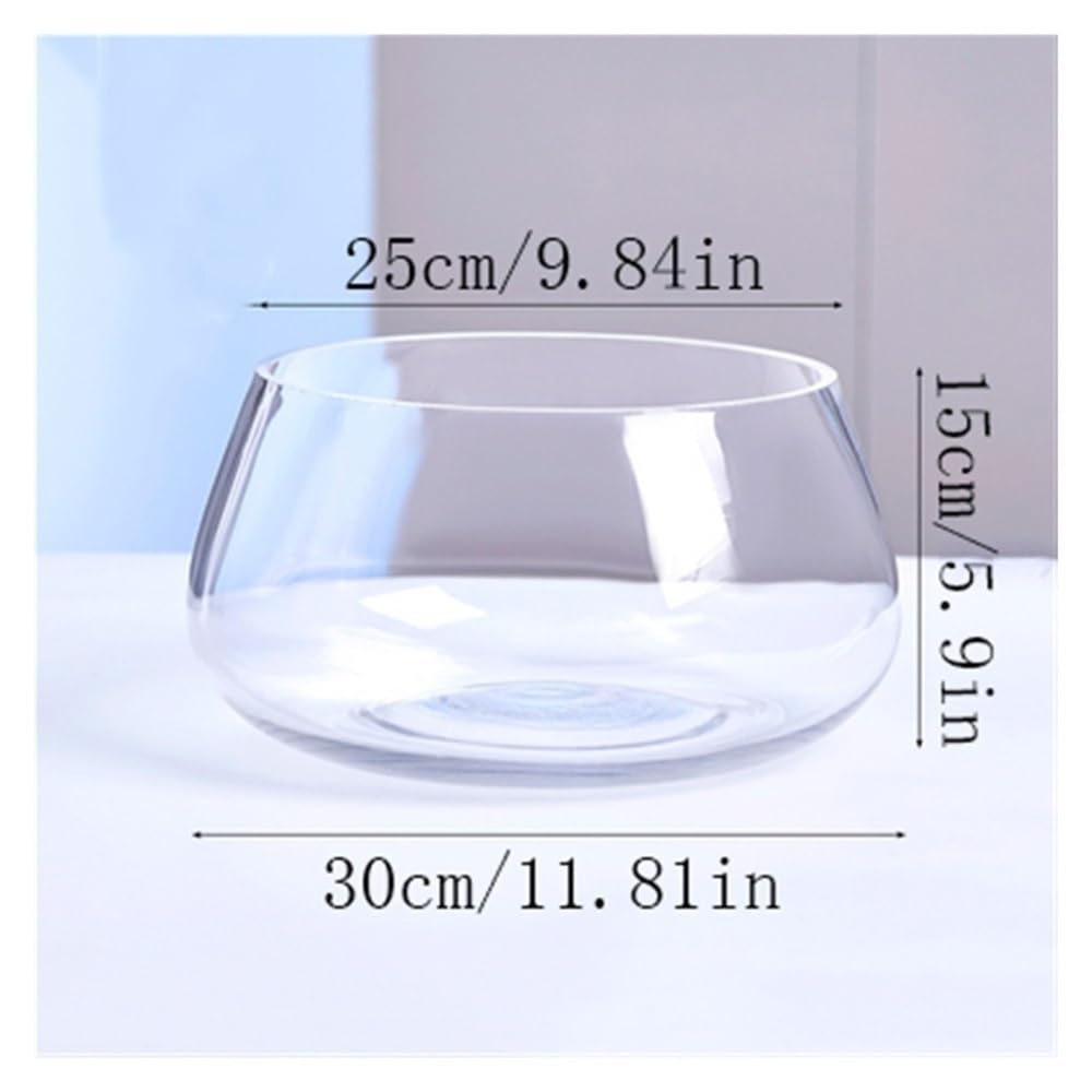 Aquarium Rundes, ökologisches, kleines, transparentes Aquarium aus Glas for Zuhause und den Schreibtisch – ideal for Bepflanzen.(25cm)