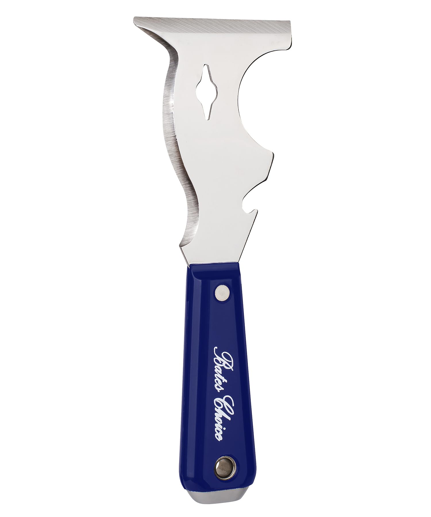 Bates- Paint Scraper, 10 in 1 Painters Tool, Paint Scrapers for Wood, Painters Tool, Painters Knife, Paint Scraper for Painting, Putty Knife, Metal Scraper, Spackle Knife, Putty Scraper