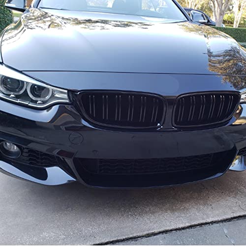 Coppia di griglie anteriori a doppia linea 4