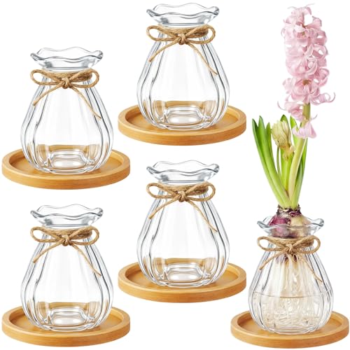 Ninehaoou 4 Pcs Clear Bulb Glass Vases for Flowers Forcing Hyacinth Avocado Clear Decorative Bulb Vase with Round Bamboo Coaster for Women Gardening Lovers Home Office Plant Table Decoration