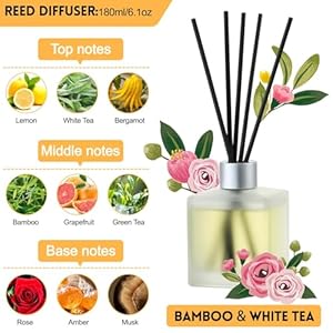   Brakula-Reed-Diffusers-Set-Bamboo-White-Tea-Scented-Aromatic-Oil-Diffuser-with-10-Sticks-for-Room-Decor-61-oz-180ml-Long-Lasting-Fragrance