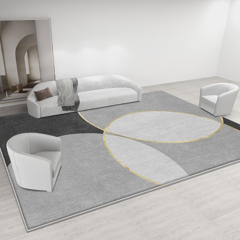 Tapis de salon lavable et antidérapant pour réchauffer la chambre