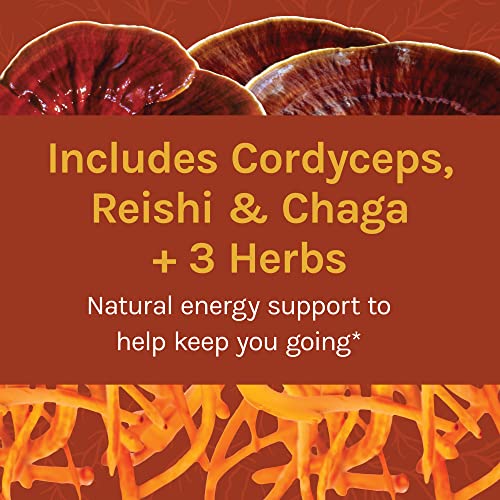 Host Defense Lion's Mane Capsules, 120 Count - Mycobotanicals Energy Capsules - 60 Ct #TOP4