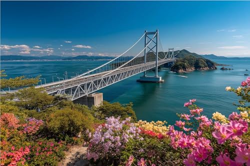 Fa勴̗Y傳ƎR̔̃RgXg500s[X ؐWO\[pY-Ƃ̑̕iJWApYƑFl̂߂̃Mtg52cmx38cmiFa̕i6j