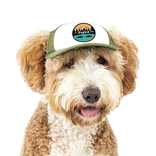 Puplid Trucker Hats For Dogs (Small) Premium Stylish Sun Protection For The Modern Dog - Adjustable For Secure Comfortable Fit On Active Dogs (Green, All-Terrain) #TOP9