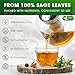 FreshDrinkUS, Premium 15 Sage Leaf Tea Bags, 100% Natural & Pure from Sage Leaves. Loose Leaf Herbal Tea. Made with Natural Material Tea Bags. No Sugar, No Caffeine, No Gluten, Vegan.