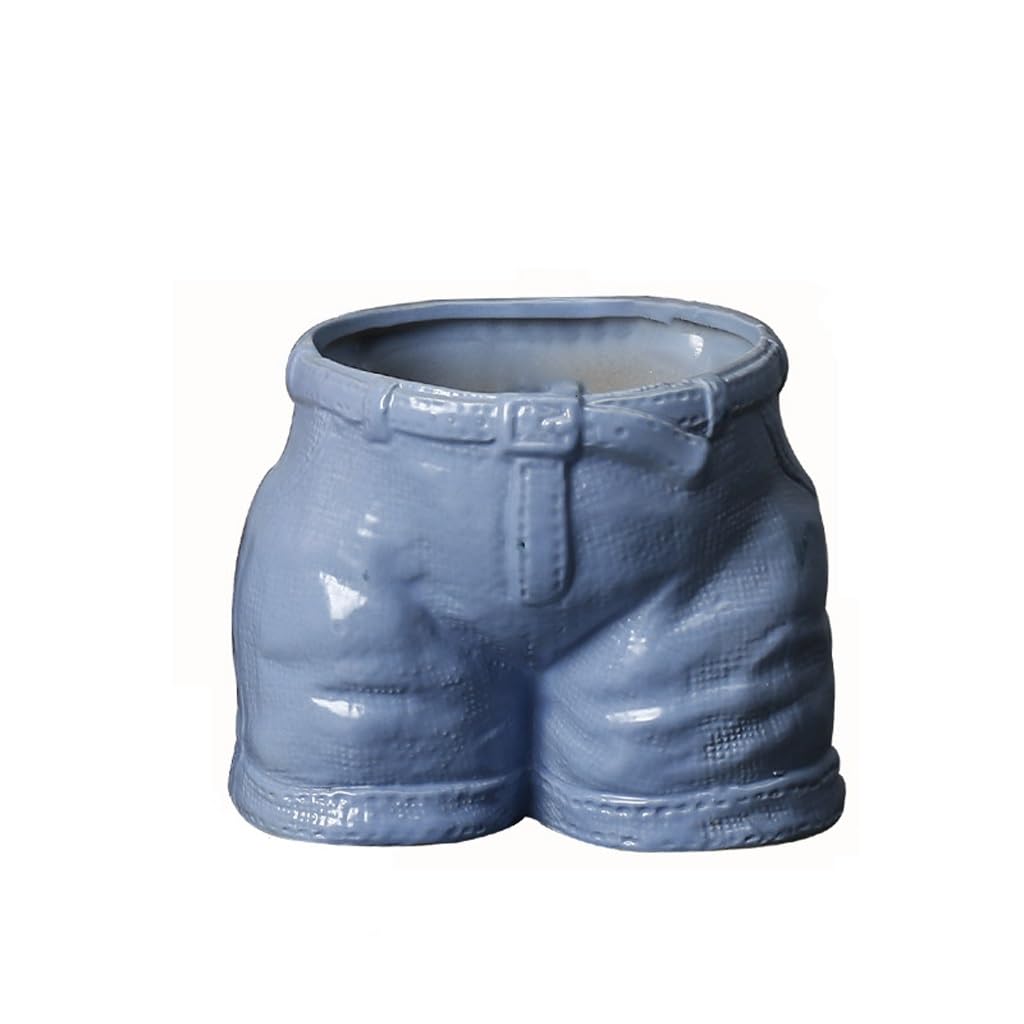GELASIGE Flower Pots Ceramic Flower Pots, Simple And Creative Succulent Flower Pots, Interior Decorations, Desktop Decorations Outdoor Flower Pots(B)