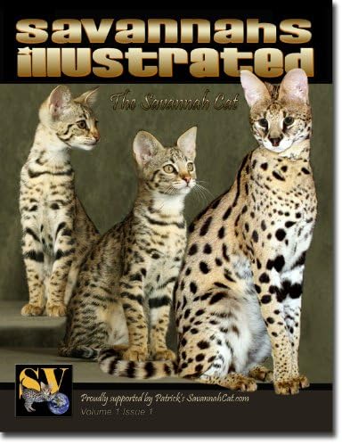 Savannahs Illustrated, The Savannah Cat