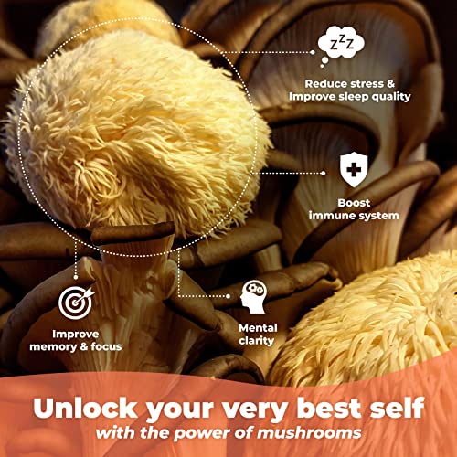 Nootropics Brain Memory and Focus Supplement - Lions Mane, Shiitake, Chaga, Reishi Mushrooms Powder - Improve Cognitive Health with Bacopa Monnieri and Gingko Biloba Extract , 60 Capsules - Image 3