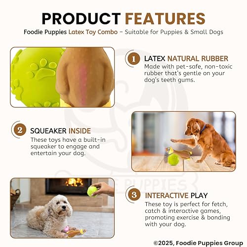 Image of Foodie Puppies Dog Squeaky Toy Combo of (Brown Duck + Claw Ball) | Natural Latex Rubber Toys for Small Dogs & Puppies | Durable, Chewing, Fetching, Playing, Teething & Training Chew Safe Play Toy