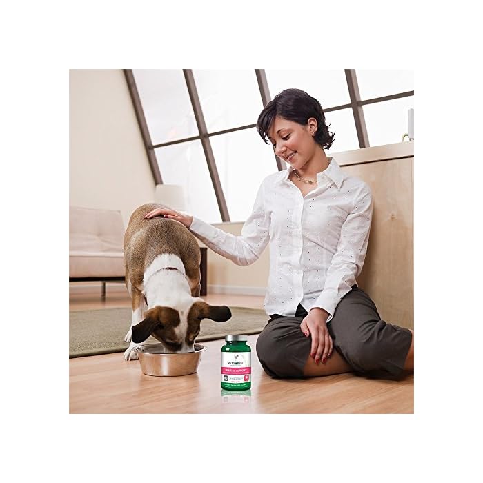 Vet's Best Immune Support Dog Supplement| Promotes Healthy Immune System & Seasonal Allergy Relief | 60 Chewable Tablets - Image 6