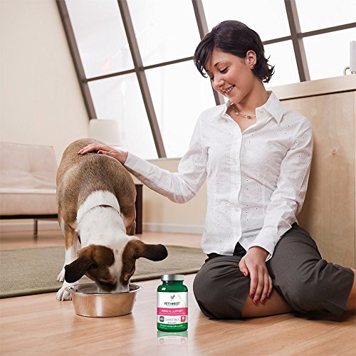 Vet's Best Immune Support Dog Supplement| Promotes Healthy Immune System & Seasonal Allergy Relief | 60 Chewable Tablets - Image 6