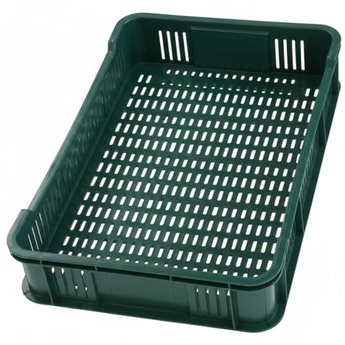 HaGa Lagerkiste 59x39,5x11 cm | grün | 10kg – Obstkiste und Gemüsekiste stapelbar aus Kunststoff – Apfelkiste, Aufbewahrungsbox, Plastikkorb, Lagerbox für Obst & Gemüse