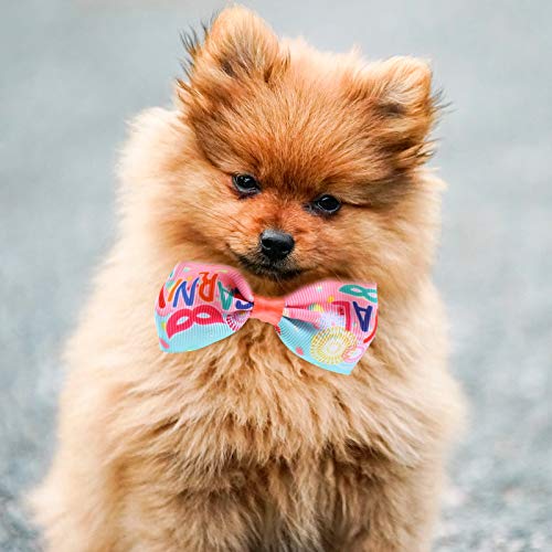 TEHAUX 10 peças decorativas para animais de estimação gravata borboleta para animais de estimação co