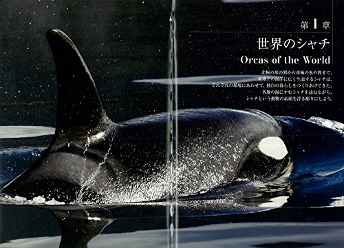 ジャングルの掟　17冊 ジャングルの掟 17冊 Amazon.co.jp: ジャングル・ブック (文春