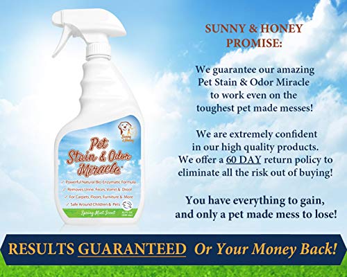 Pet Stain & Odor Miracle - Enzyme Cleaner For Dog Urine Cat Pee Feces Vomit, Enzymatic Solution Cleans Carpet Rug Car Upholstery Couch Mattress Furniture, Natural Eliminator (S/M 32Fl Oz) #TOP4