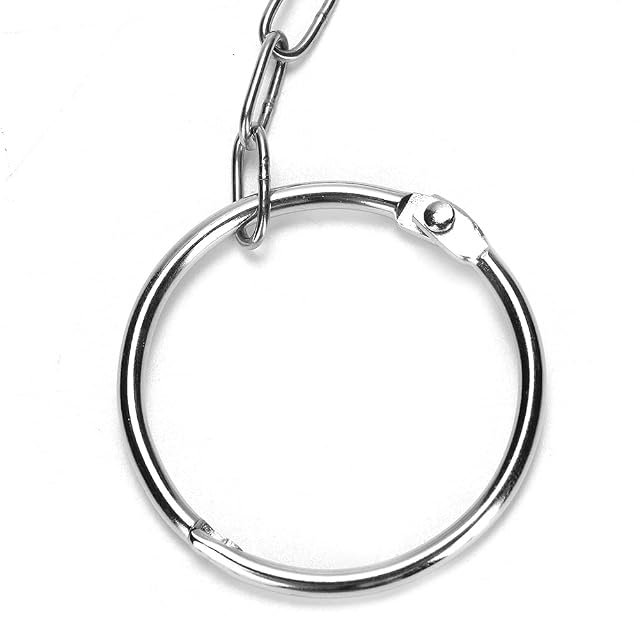 Foto 6 de 8 de Sheens Cadena de pie de pájaro de Acero Inoxidable, Anillo antifugas para Tobillo, Accesorios para pájaros